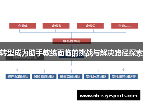 转型成为助手教练面临的挑战与解决路径探索 转型成为助手教练面临的挑战与解决路径探索