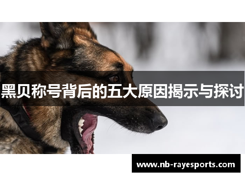 黑贝称号背后的五大原因揭示与探讨