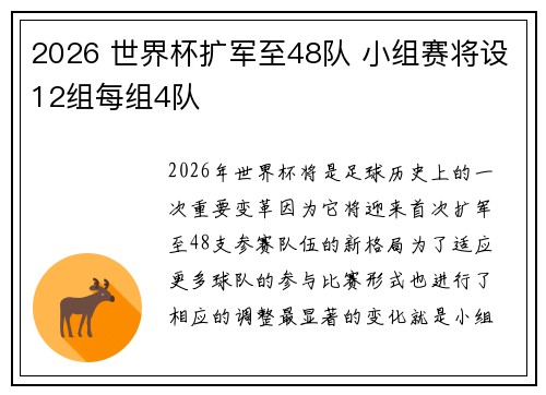 2026 世界杯扩军至48队 小组赛将设12组每组4队